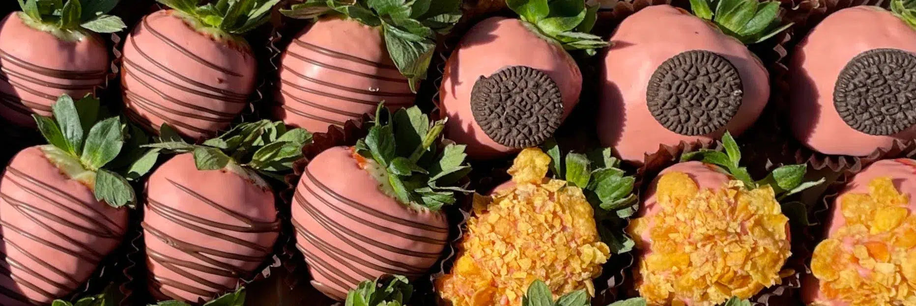 Chocolate dipped strawberries-Lunch Bunch