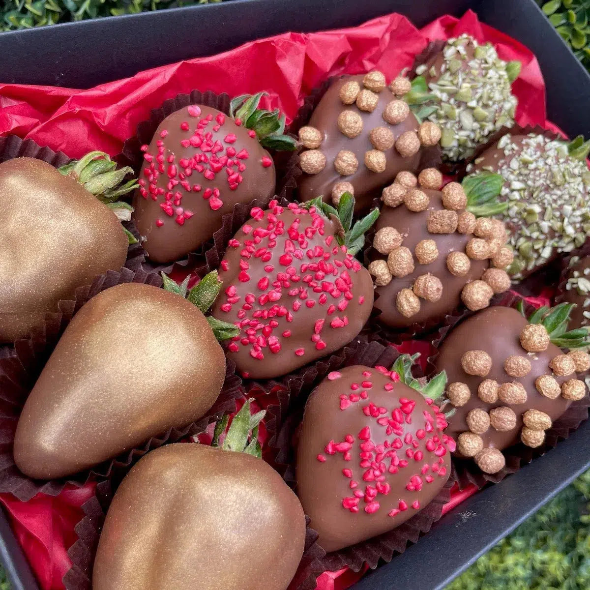 Edible Gifts Adelaide-Lunch Bunch