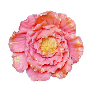 3D Pink Chocolate Flower is a handcrafted art piece. This flower is made of tinted White Chocolate and filled with marshmallows and dried fruits/berries.