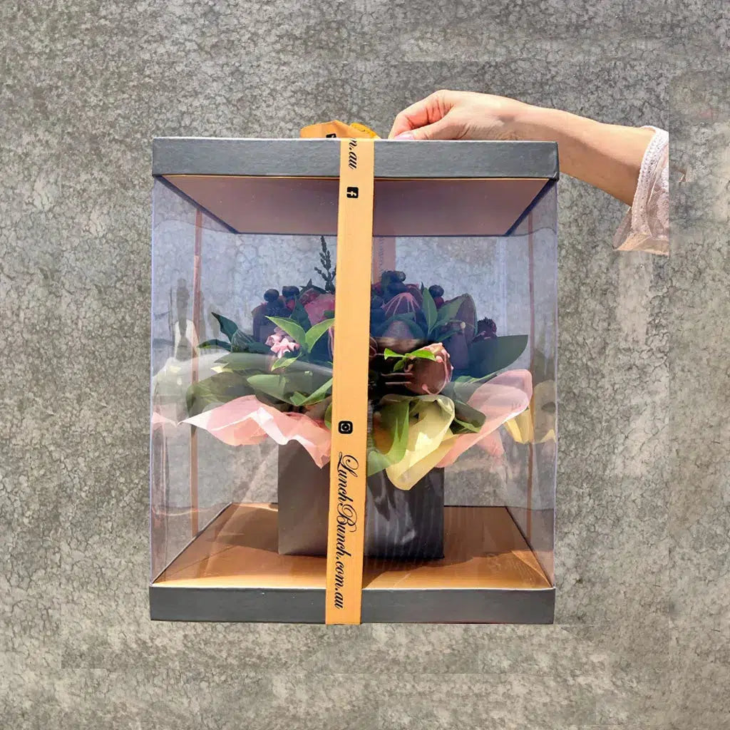 Aquarium Box Transparent cake packaging