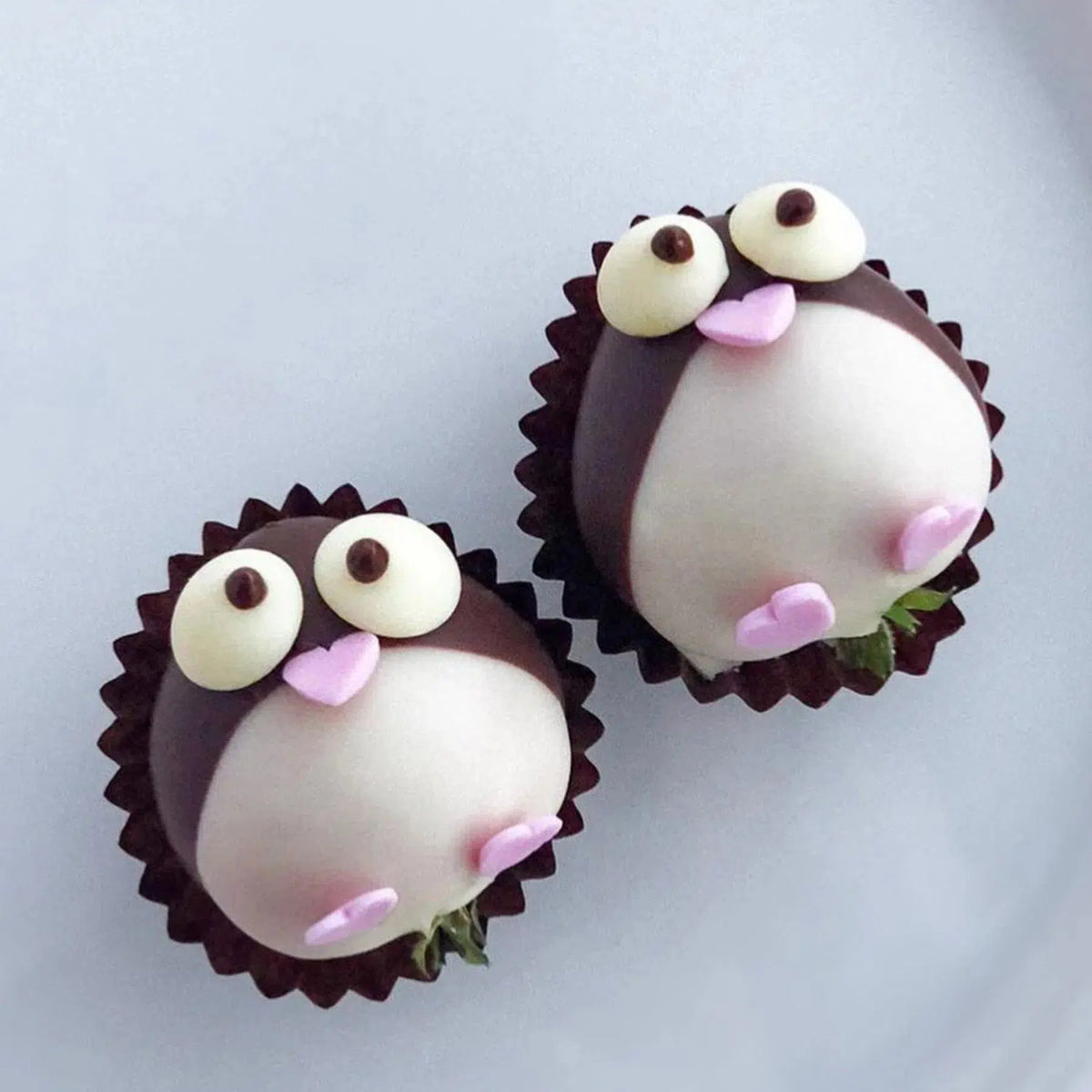 Penguin chocolate strawberries created during a Lunch Bunch kids chocolate decorating activity