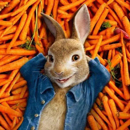 Peter Rabbit Easter Carrots Vegan Bouquet-Fruit Bouquets-Lunch Bunch