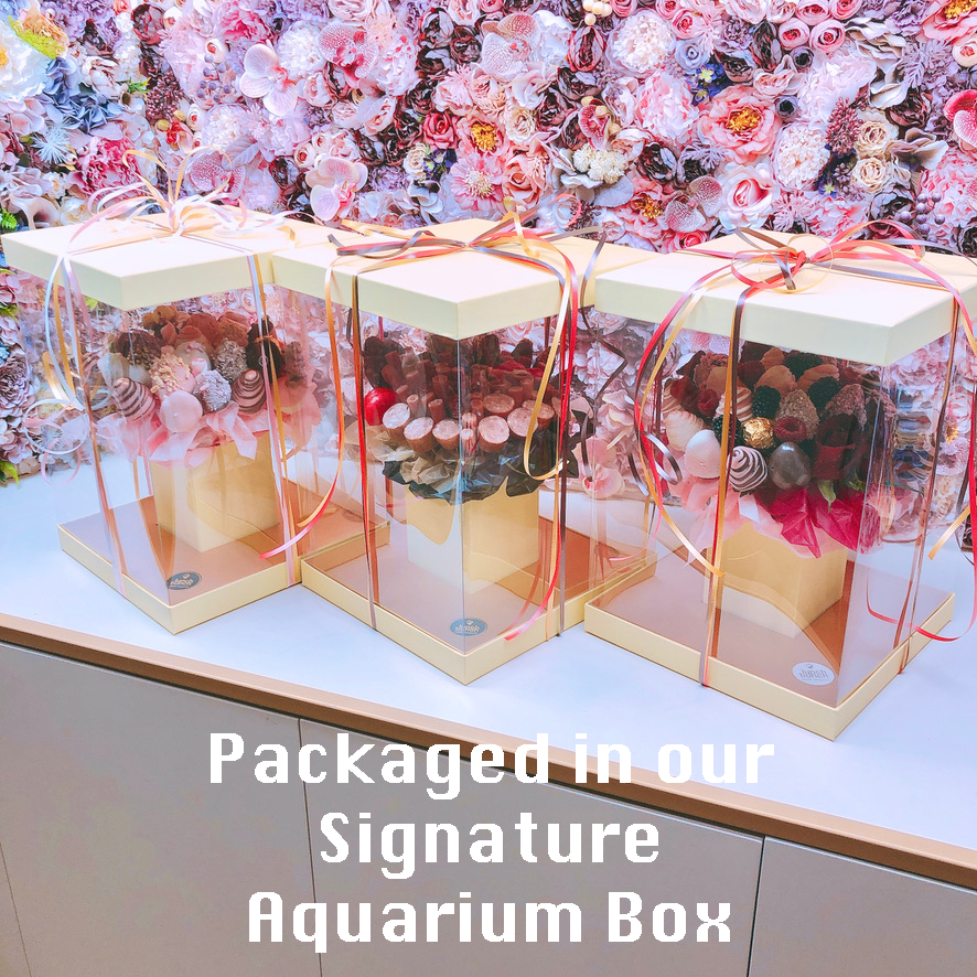 Packaging Aquarium Box LunchBunch , frog Cake Balfours Bouquet , Frog Cake gift Box 